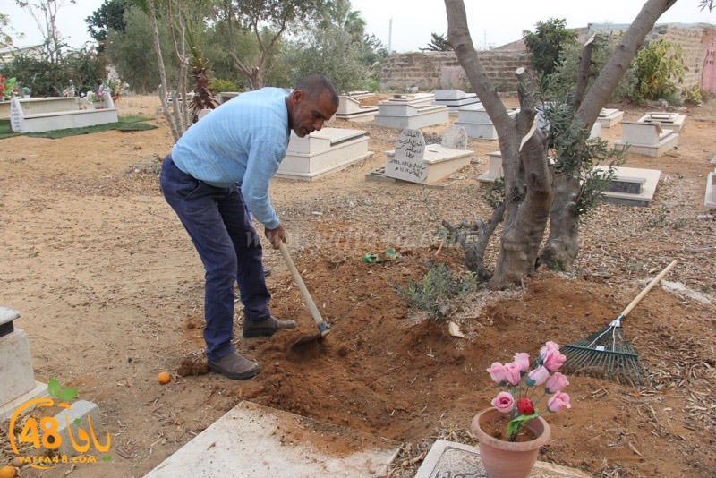 tasoooi3i1412 (65).JPG